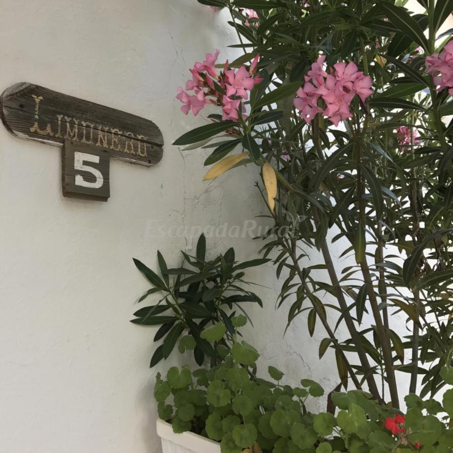 Finca La Vicacaria Limonero Zufre Kültér fotó